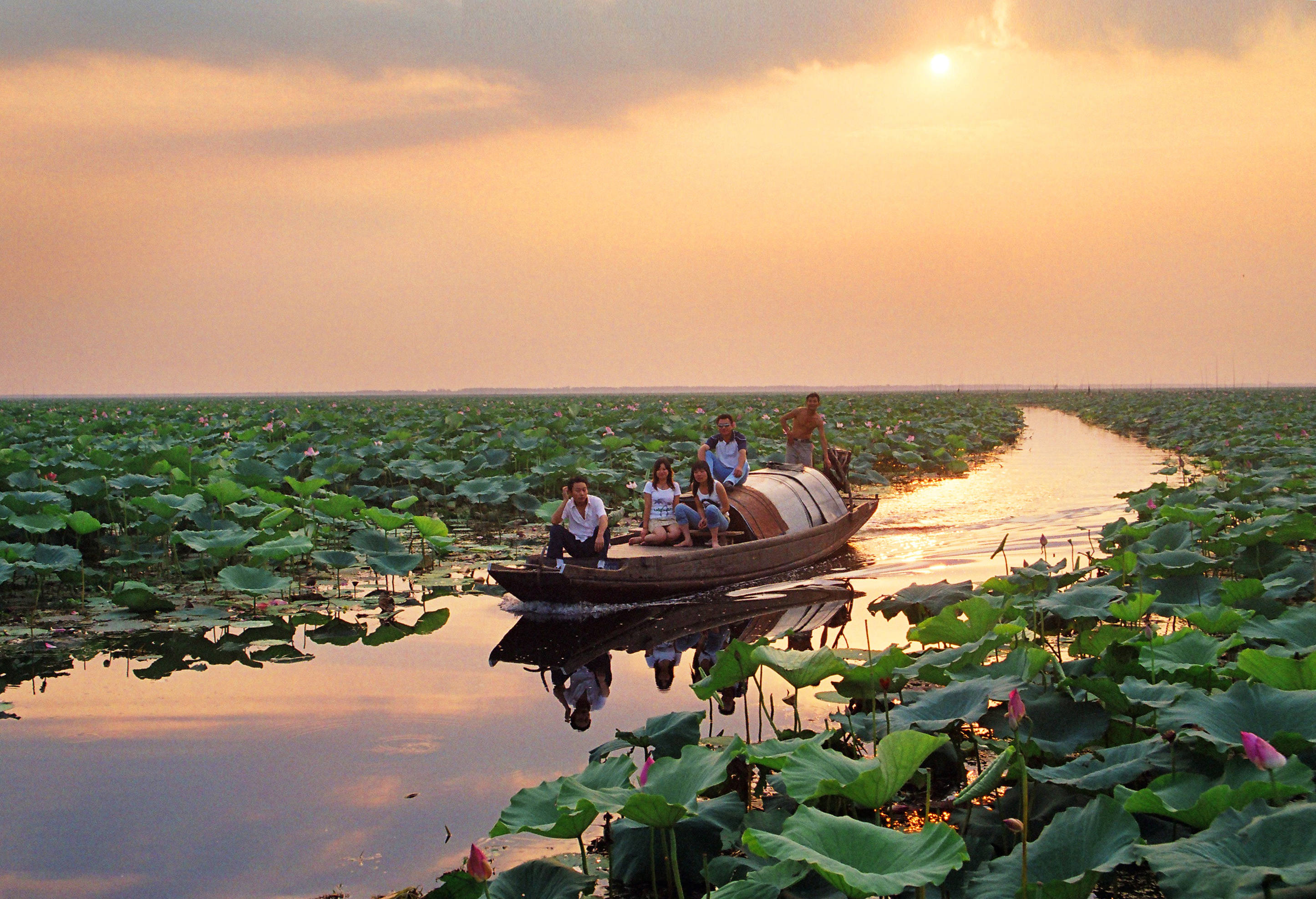 皖,赣三省结合部黄梅县境内湖北龙感湖国家级自然保护区二,湿地明珠