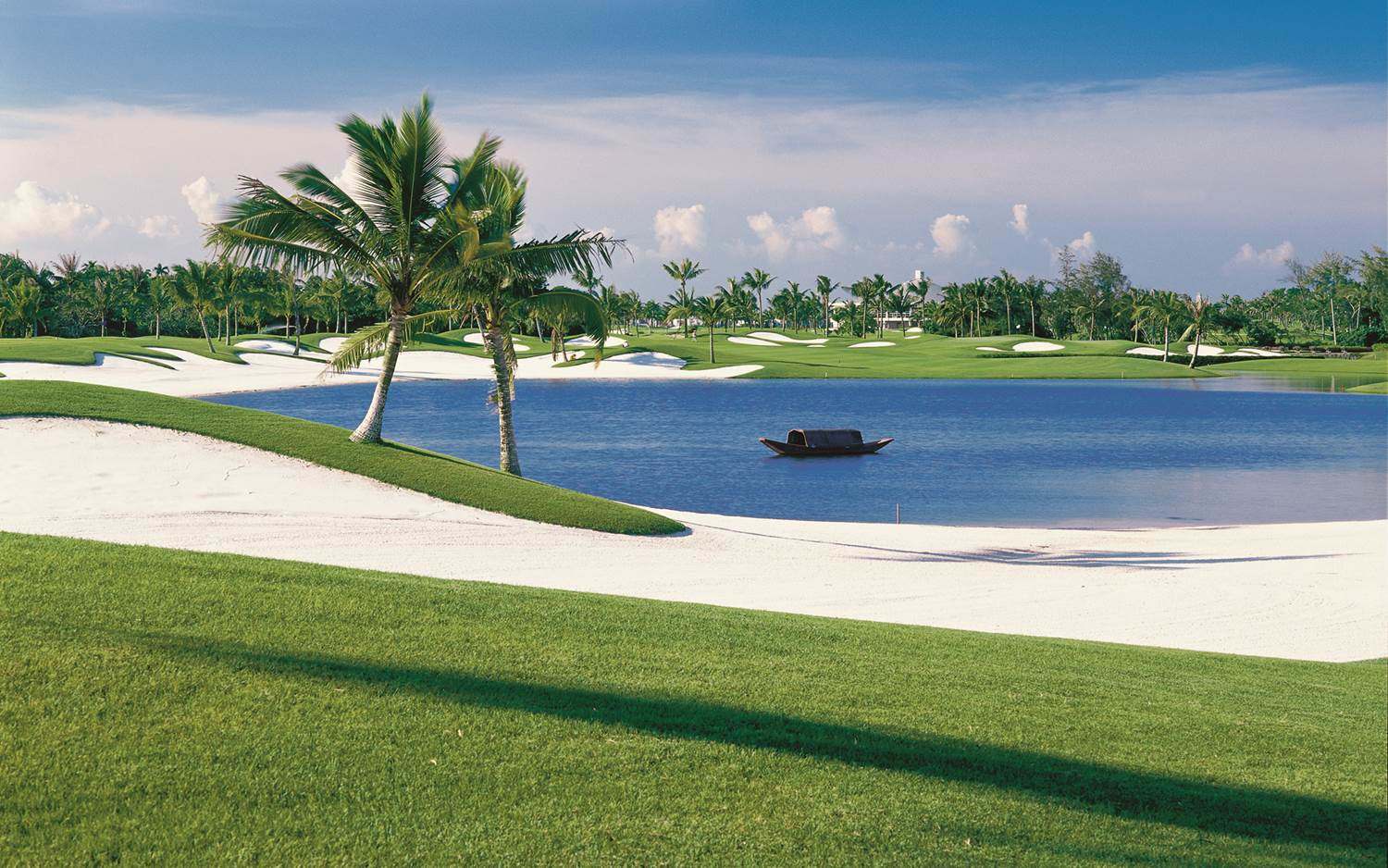 东屿岛_表单_表单大师_人人秀h5_rrx.cn