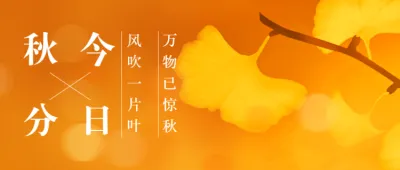 今日秋分 金黄色银杏叶秋日风景 二十四节气公众号首图