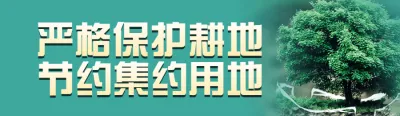 绿色写实风格政府组织全国土地日投票活动banner