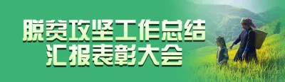 绿色写实风格政府组织全面推进乡村振兴投票活动banner