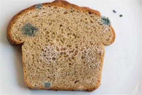 防癌—从吃开始