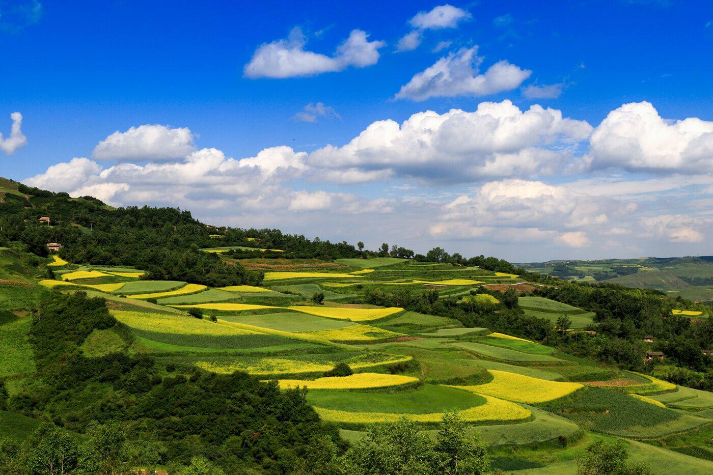 h5烟花三月春正浓美食美景看临夏