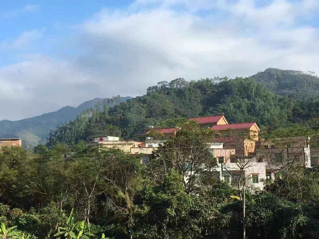 大塘面村第二届大聚会邀请函